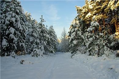 《神奇101》免费DLC“课后英雄”第一部分现已发布